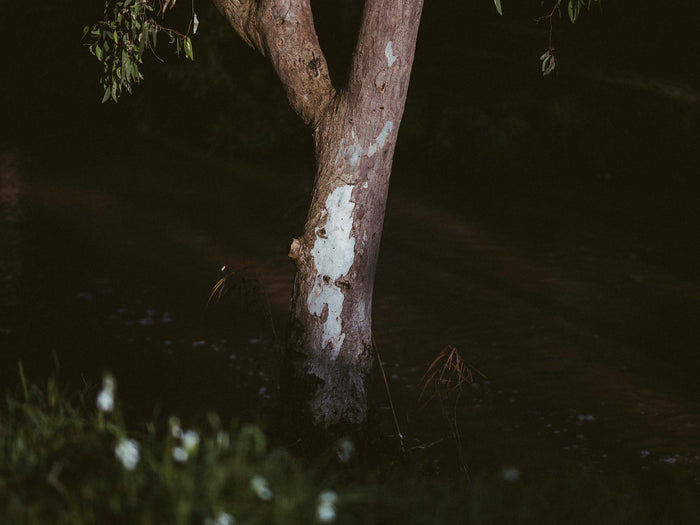 See How Sarah Pannell Uses The Explorer Kit For Elevated Outdoor Photos